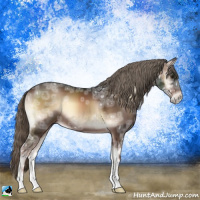 Horse Color:Liver Red Onyx Ice Mushroom
