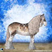 Horse Color:Liver Red Onyx Mushroom Sabino Rabicano 