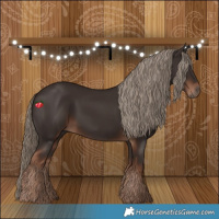 Horse Color:Liver Chestnut Rabicano 