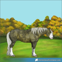 Horse Color:Watercolor White Spotted Silver Black Ice 