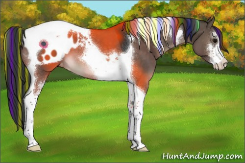 Horse Color:Painted Brown Dun Sabino Tobiano Appaloosa 