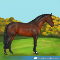 Horse Color:Brown 