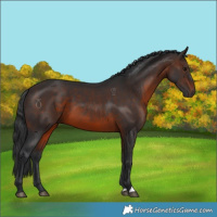 Horse Color:Brown 