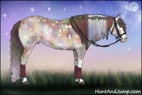 Horse Color:Nacre White Spotted Red Onyx Ice Splash Rabicano 