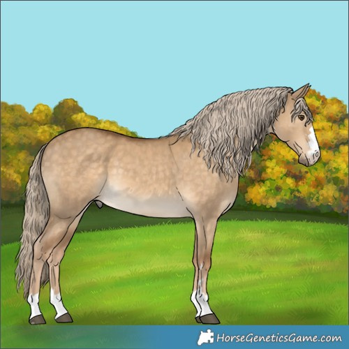 Horse Color:Chocolate Palomino Dun 