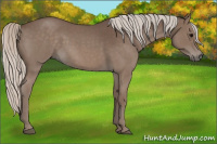 Horse Color:Silver Blue Roan Sabino 