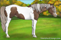 Horse Color:Gray Silver Black Pearl Tobiano 