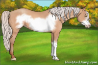 Horse Color:Silver Amber Champagne Frame 
