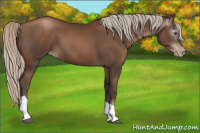 Horse Color:Gray Silver Black Pearl Tobiano 