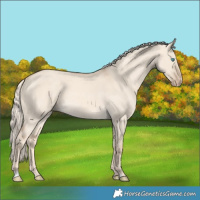Horse Color:Cremello Dun