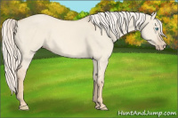 Horse Color:Cremello Dun 