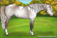 Horse Color:Gray Silver Black Pearl Tobiano 