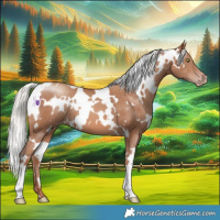Horse Color:White Spotted Silver Sable Champagne