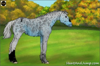 Horse Color:ERROR: UNKNOWN ANOMALY