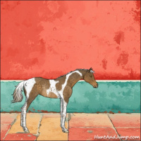 Horse Color:Chocolate Palomino Tobiano Rabicano 