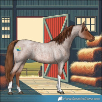 Horse Color:Red Roan Tobiano 