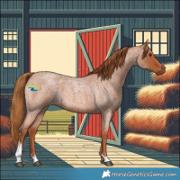 Horse Color:Red Roan Tobiano 