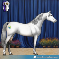 Horse Color:Gray Bay Dun Tobiano 