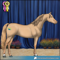 Horse Color:Red Dun 