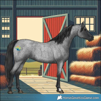 Horse Color:Blue Roan 