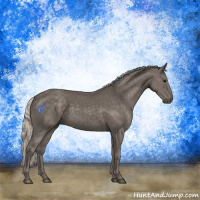 Horse Color:Silver Black 