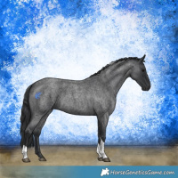 Horse Color:Blue Roan Tobiano 