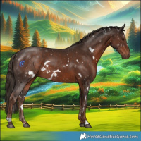 Horse Color:White Spotted Liver Chestnut 