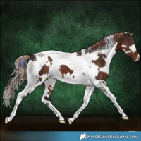 Horse Color:White Spotted Liver Chestnut Tobiano 