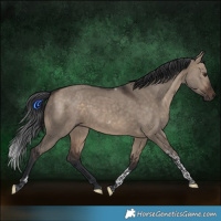 Horse Color:Brown Dun Tobiano Rabicano