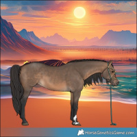 Horse Color:Brown Dun 