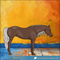 Horse Color:Silver Black 
