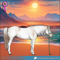 Horse Color:White Spotted Red Dun Rabicano  and White Spotted Red Dun Splash Rabicano 