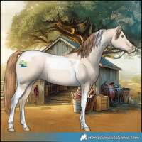 Horse Color:Smoky Grullo Pearl Tobiano 