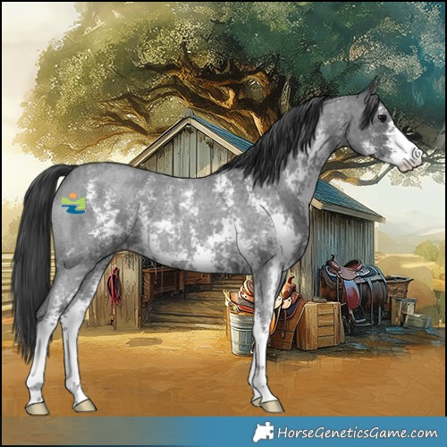 Horse Color:Blue Roan Sabino 