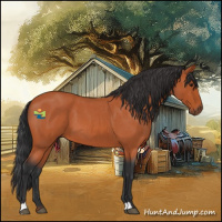 Horse Color:Brown Roan 