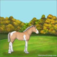 Horse Color:Silver Bay Splash Tobiano Rabicano