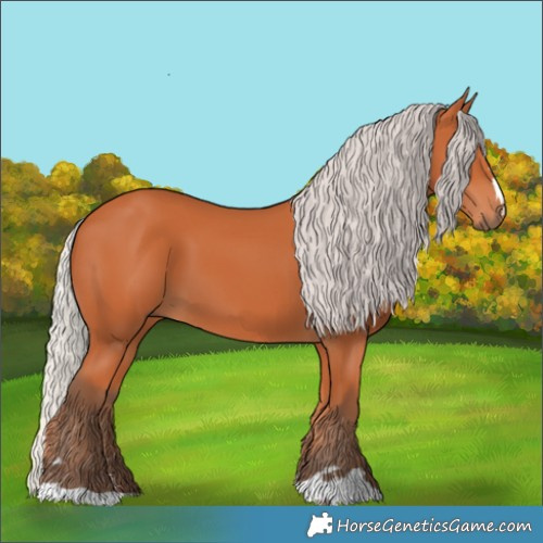 Horse Color:Silver Bay 