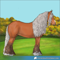 Horse Color:Silver Bay 
