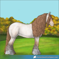 Horse Color:Bay Roan Pearl Mushroom 