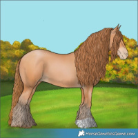 Horse Color:Bay Pearl 