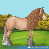 Horse Color:Bay Pearl 