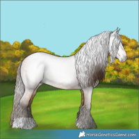 Horse Color:Gray Bay Pearl 