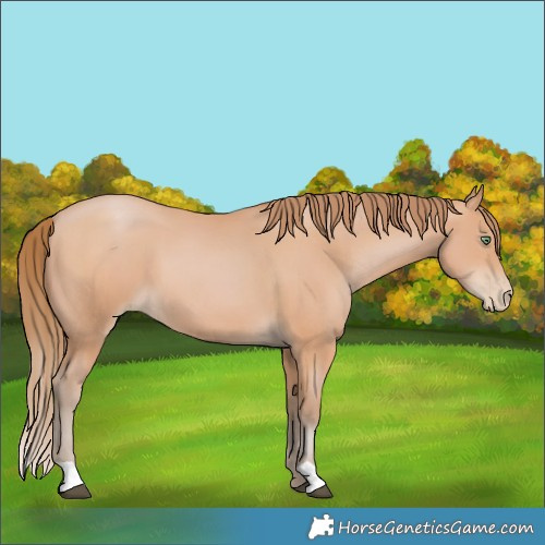 Horse Color:Bay Pearl Mushroom