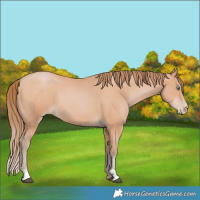 Horse Color:Bay Pearl Mushroom 
