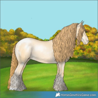 Horse Color:Buckskin Pearl Dun