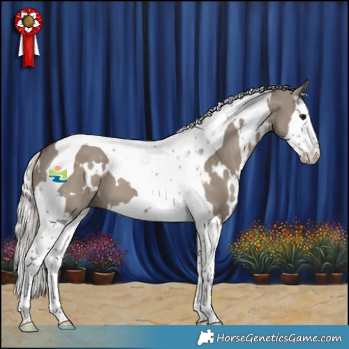 Horse Color:White Spotted Silver Grullo Splash Tobiano 