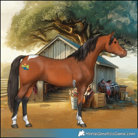 Horse Color:Bay Tobiano 