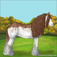 Horse Color:Red Dun Splash and Chestnut Splash