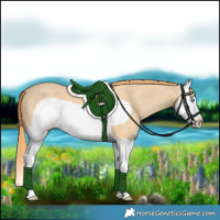 Horse Color:Gold Champagne Dun Splash Frame 
