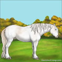 Horse Color:White Spotted Smoky Creme 